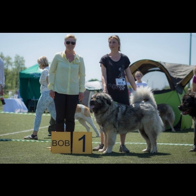 IDS ŁÓDŹ'18 - VALKYRIA